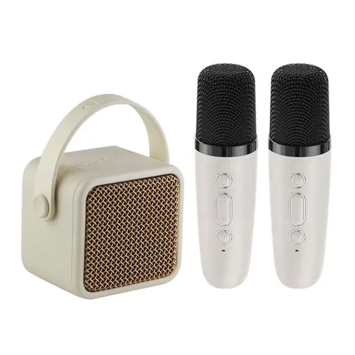 Kisonli G23 Wireless Karaoke Speaker with 2 microphones, Bluetooth 5.3, 5W output, FM radio, TF card/USB support, and up to 8 hours of playtime.