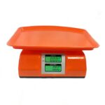 ACS-805 Digital Price Computing Scale with dual LCD/LED display, high precision sensor, and durable ABS construction for accurate weight measurements.